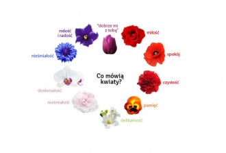Jakie uczucia symbolizują kwiaty?